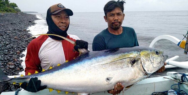 バリ島でマグロ釣り 意外 インドネシアは 鮪の漁獲量が世界一 笑うバリ島